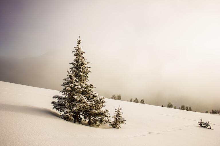 Zero Emission Group - Landscape - Snow